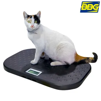 Imagen de BASCULA PARA VETERINARIAS PET-40
